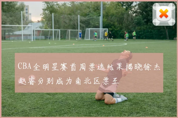 CBA全明星赛首周票选结果揭晓徐杰赵睿分别成为南北区票王