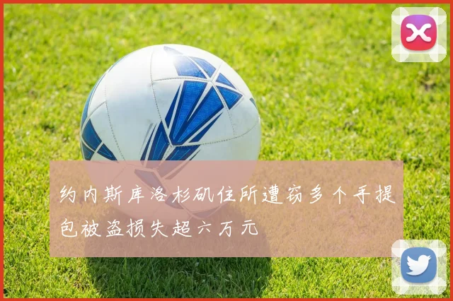 约内斯库洛杉矶住所遭窃多个手提包被盗损失超六万元